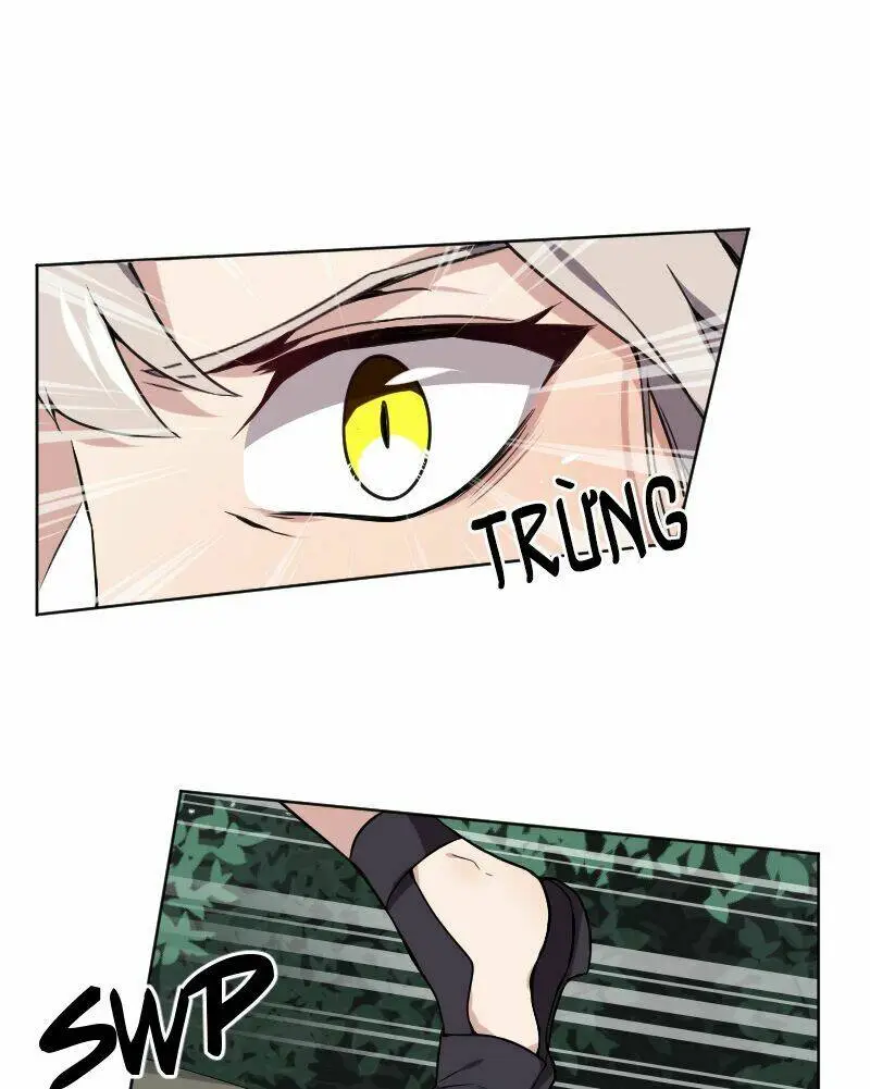 Chapter 42