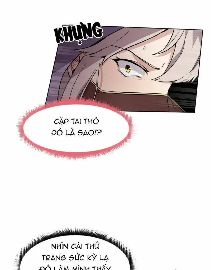 Chapter 40