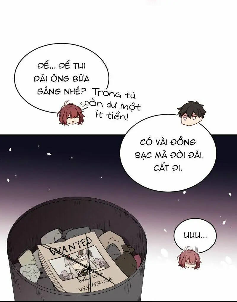 Chapter 31
