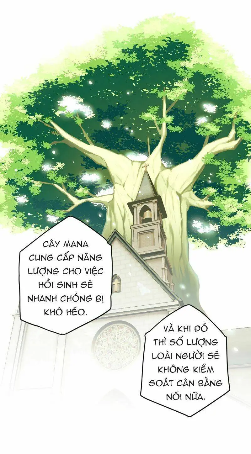 Chapter 28