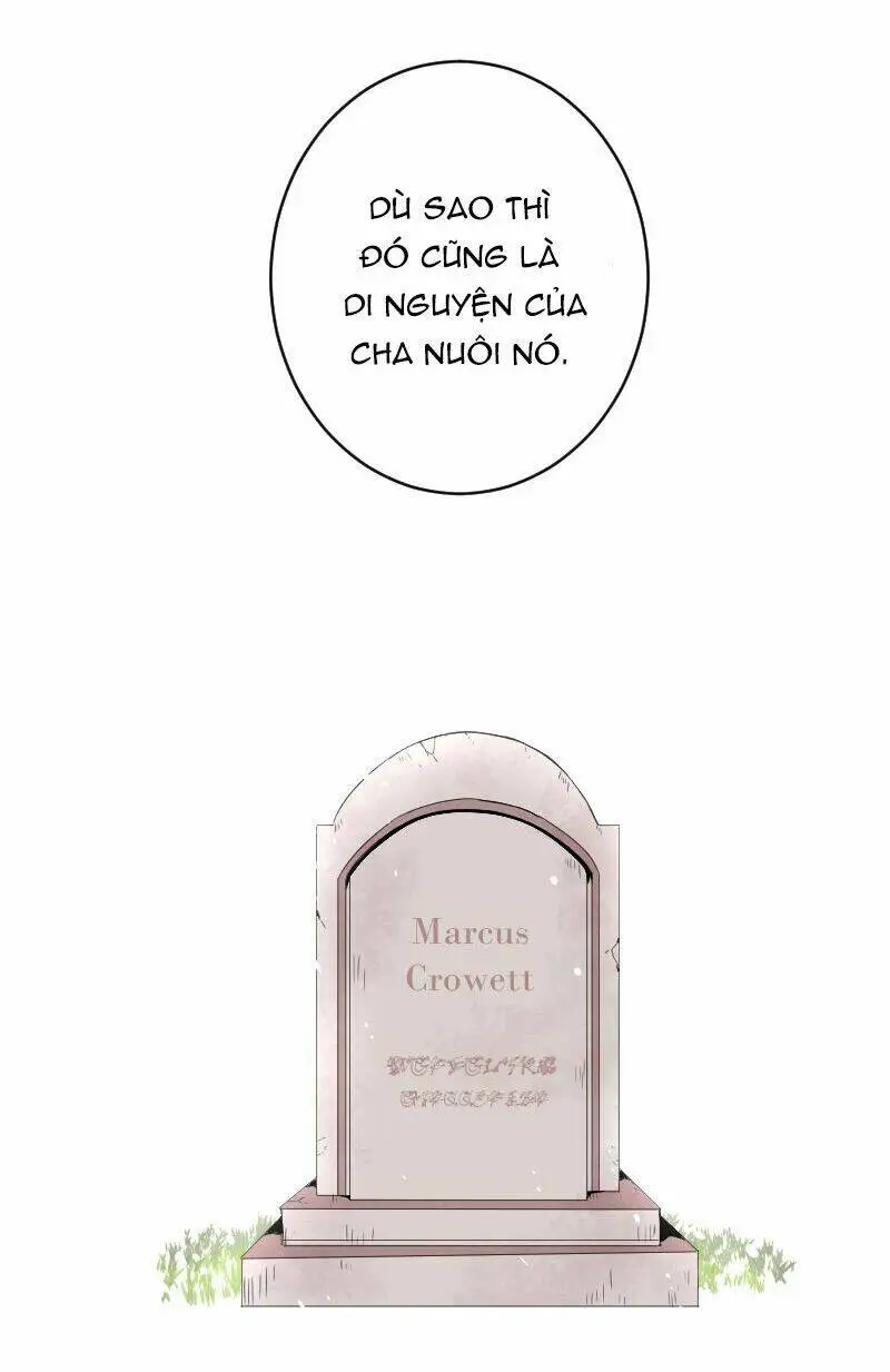 Chapter 26