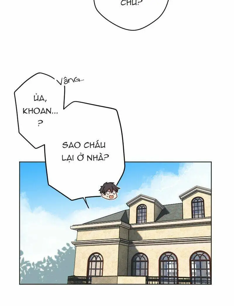 Chapter 25
