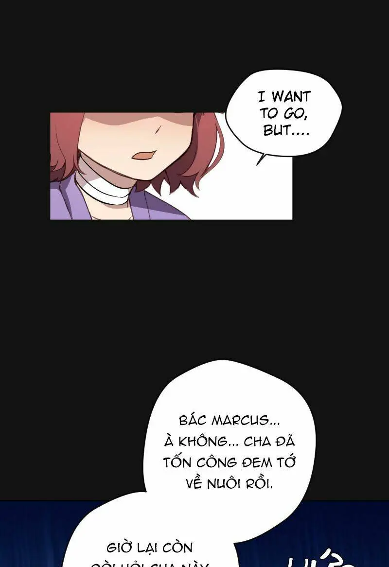 Chapter 24