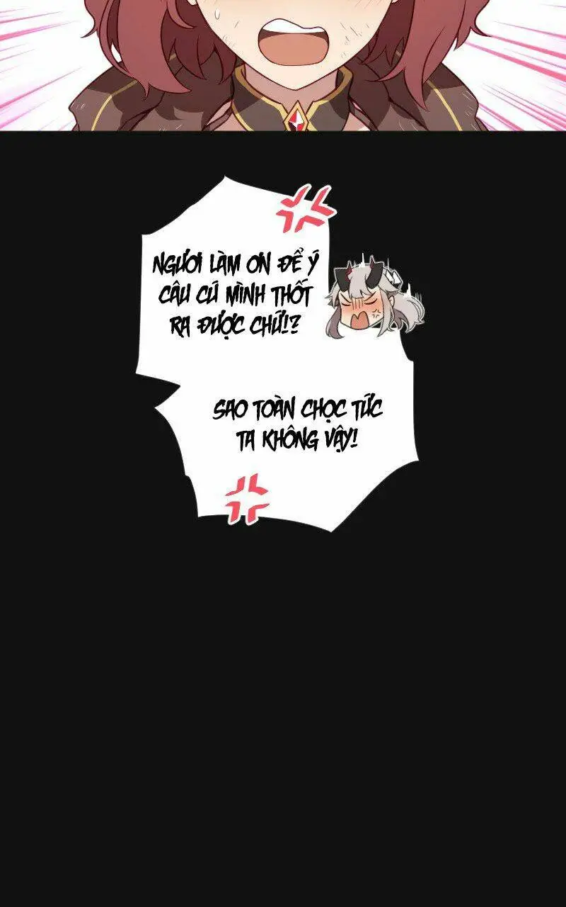 Chapter 23