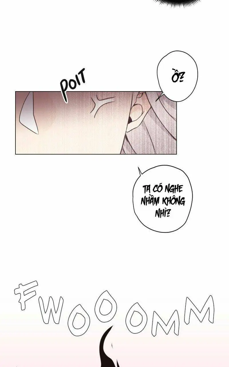 Chapter 15