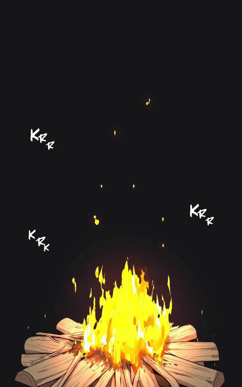 Chapter 13