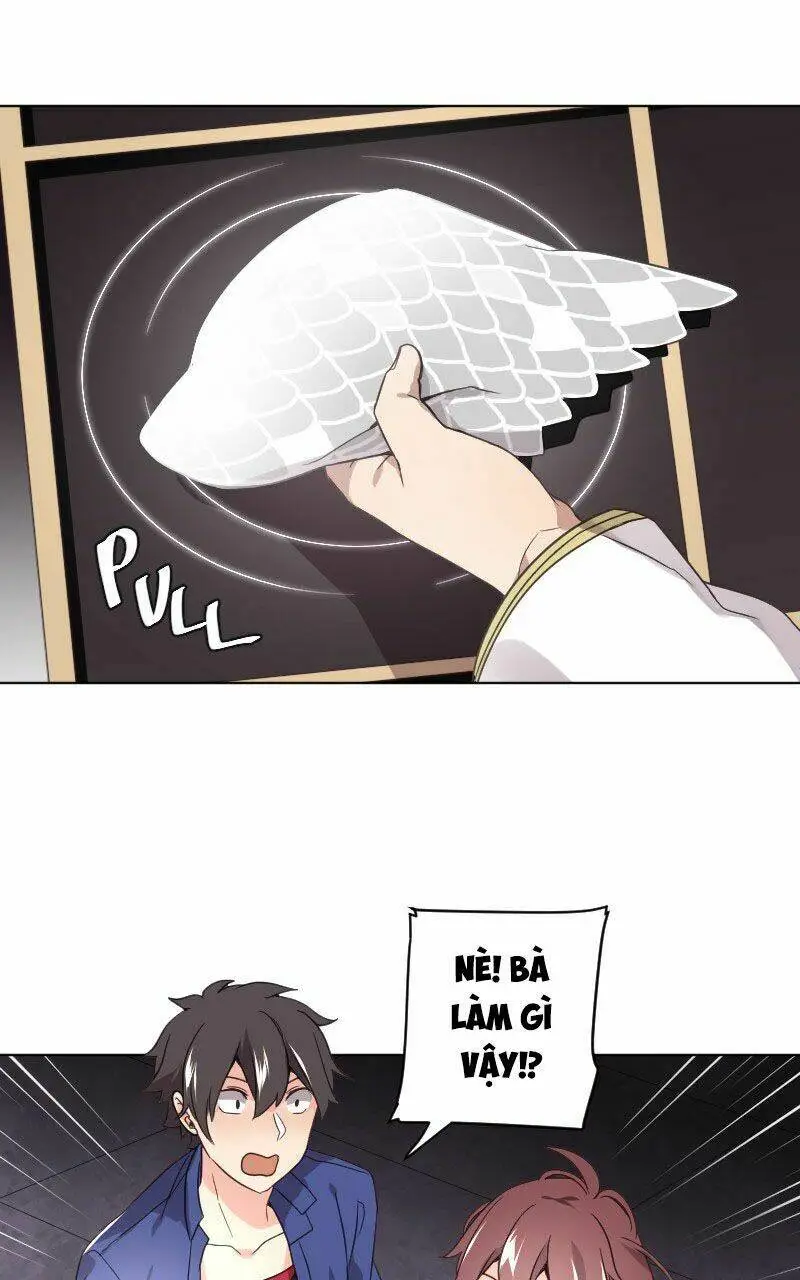Chapter 13
