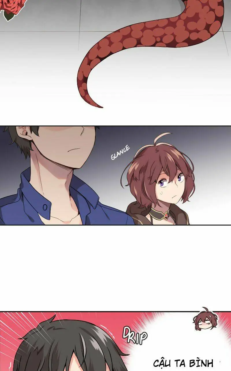 Chapter 11