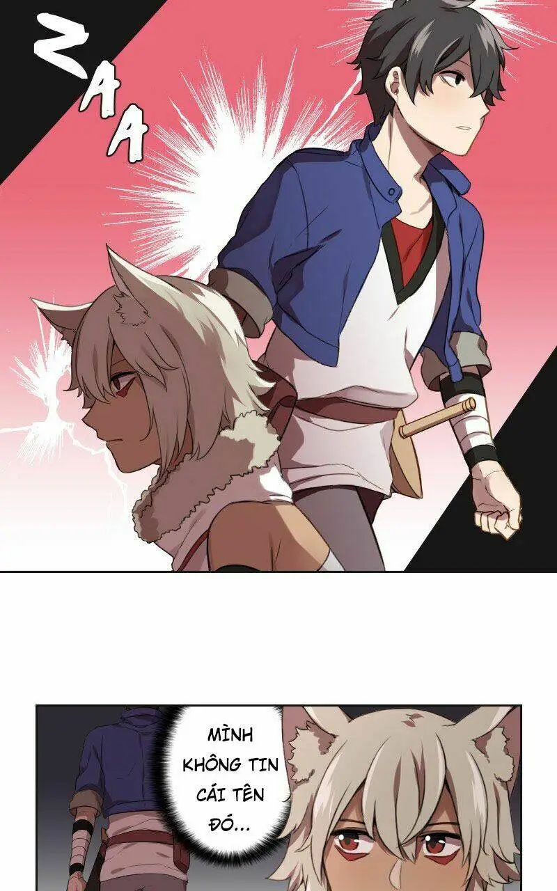 Chapter 11