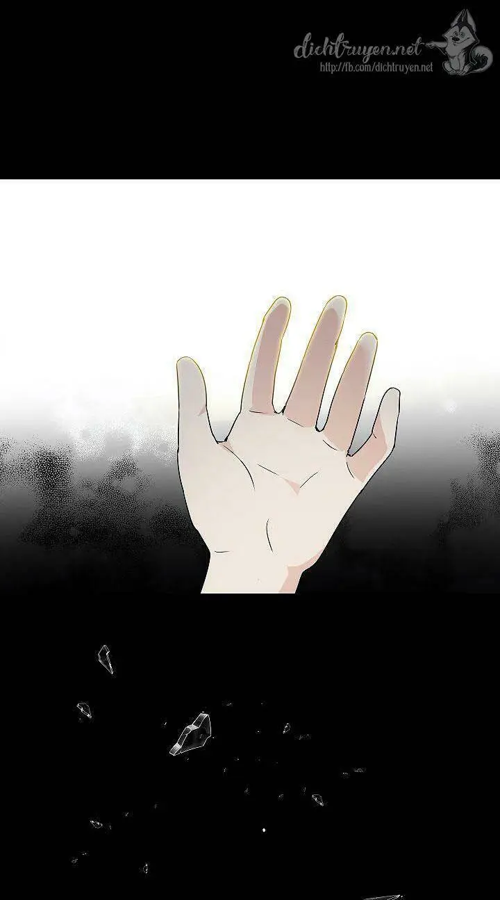 Chapter 0