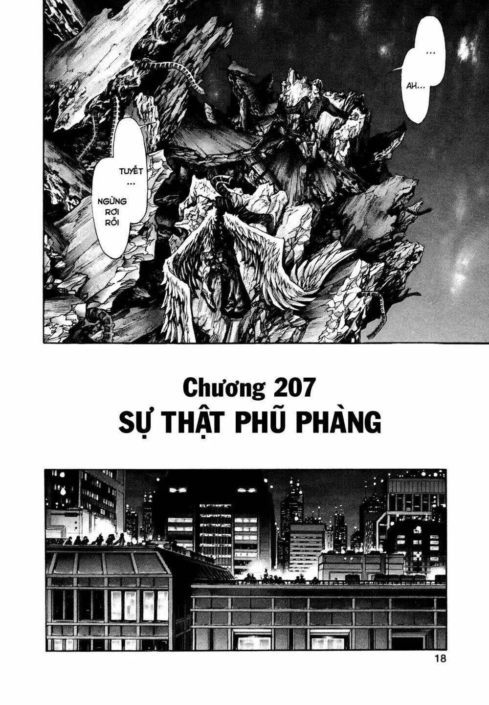 Chapter 207