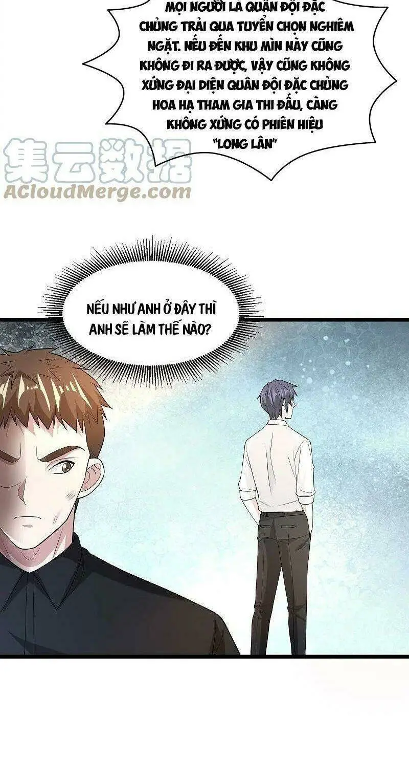 Chapter 244