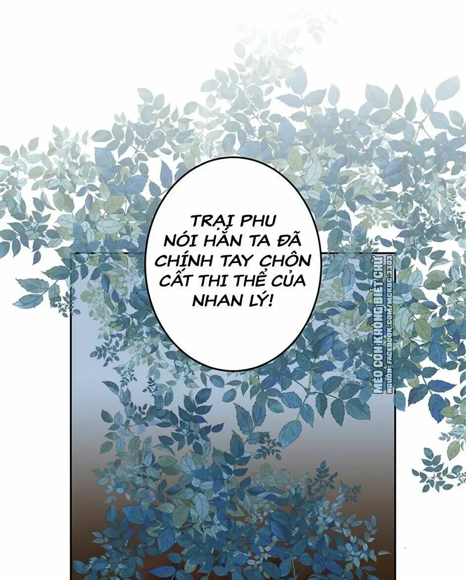 Chapter 10