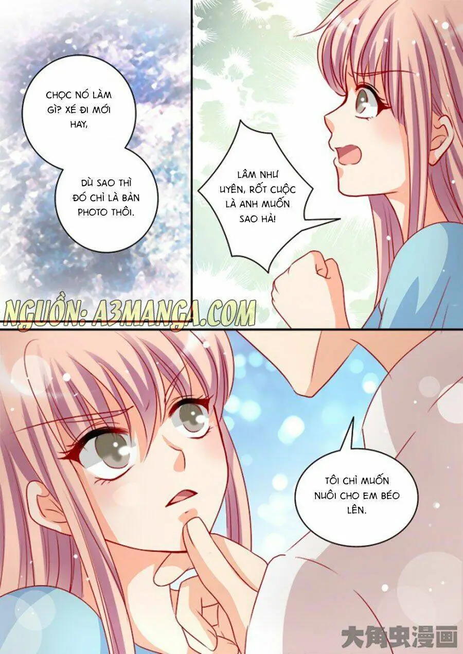 Chapter 95