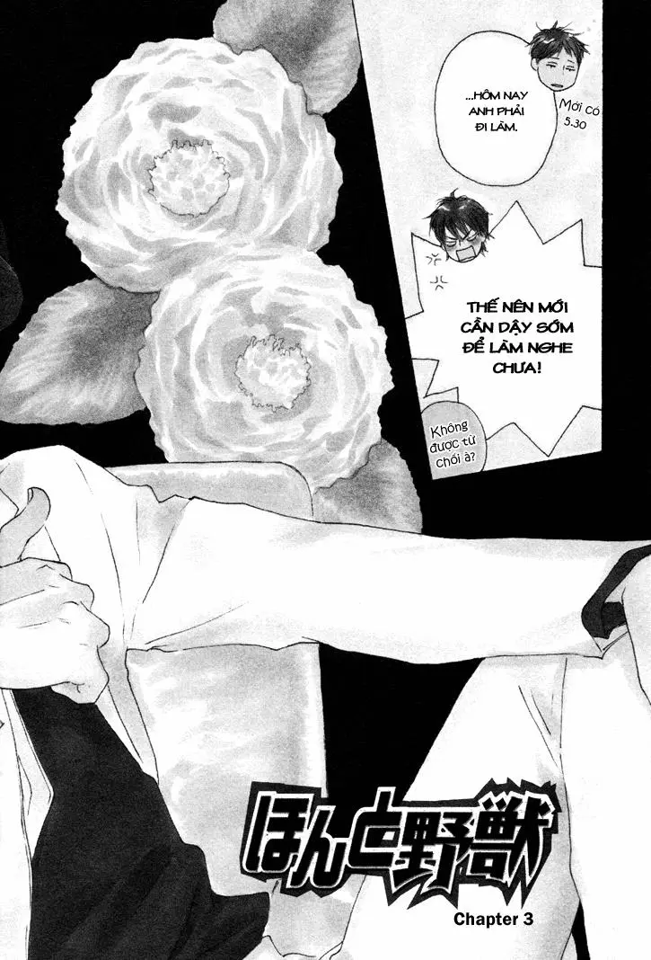 Chapter 3