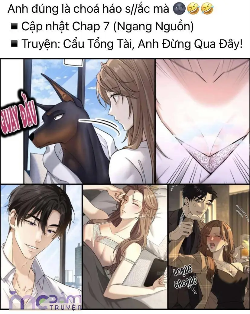 Chapter 41