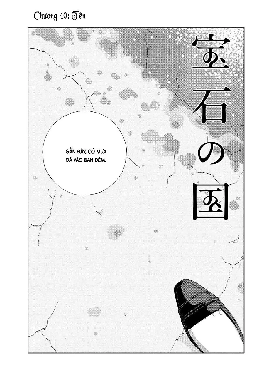 Chapter 40