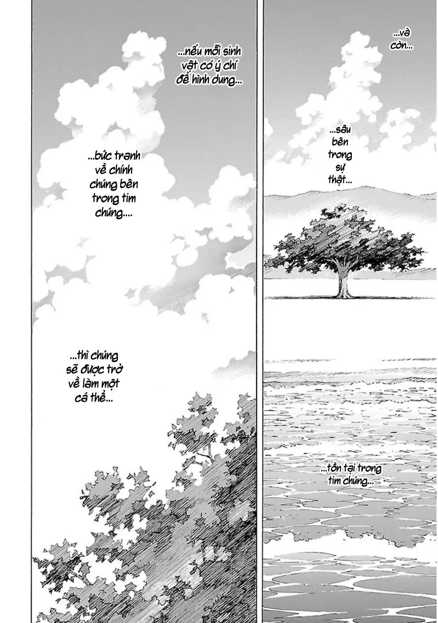 Chapter 95