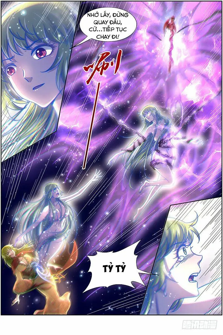 Chapter 323