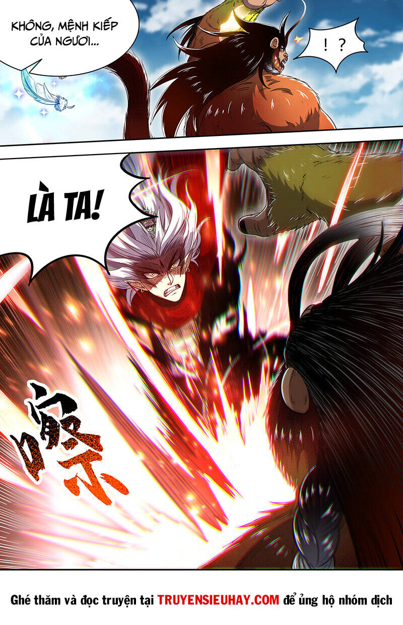 Chapter 782