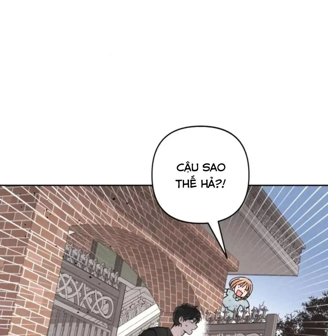 Chapter 96