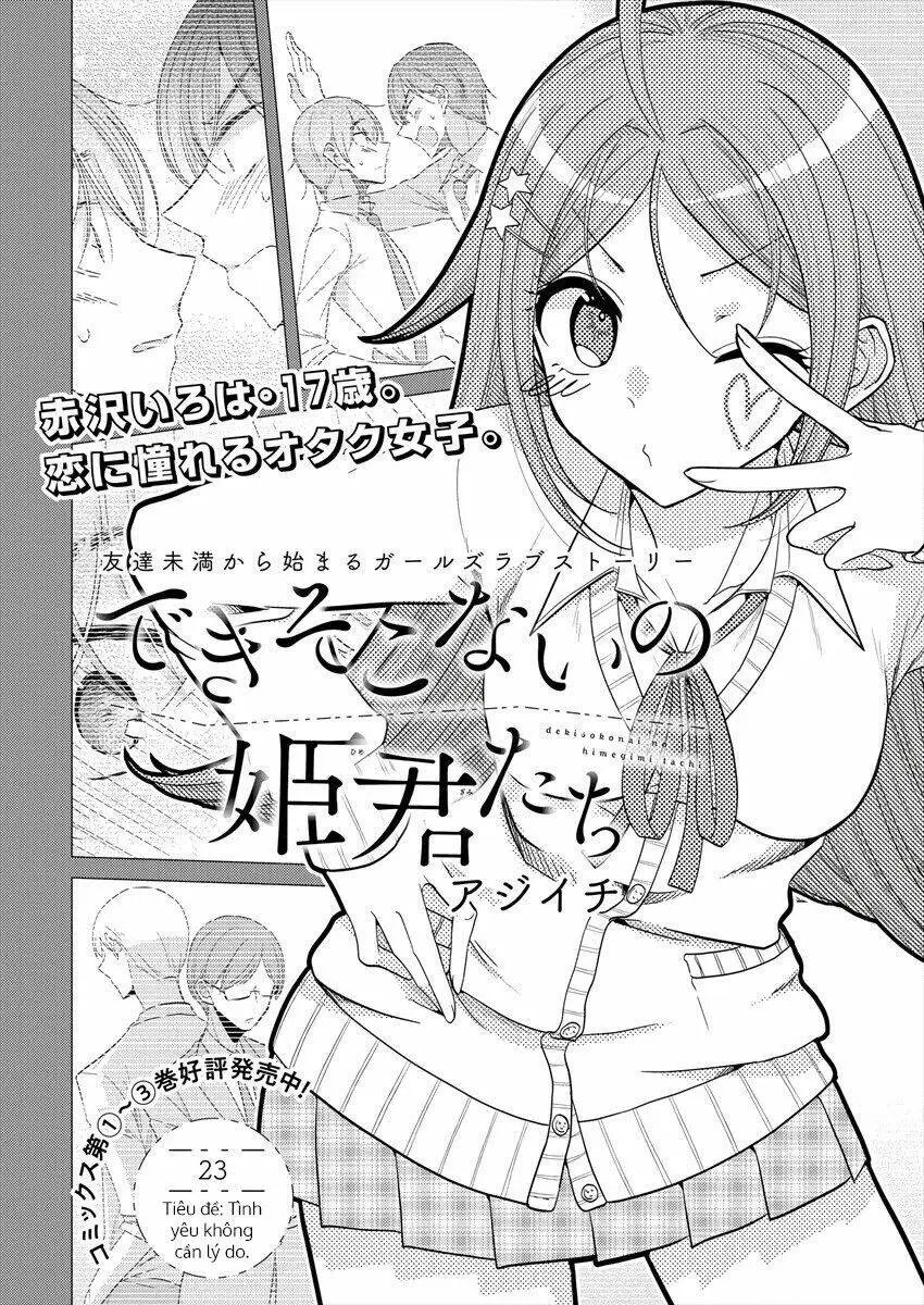 Chapter 23