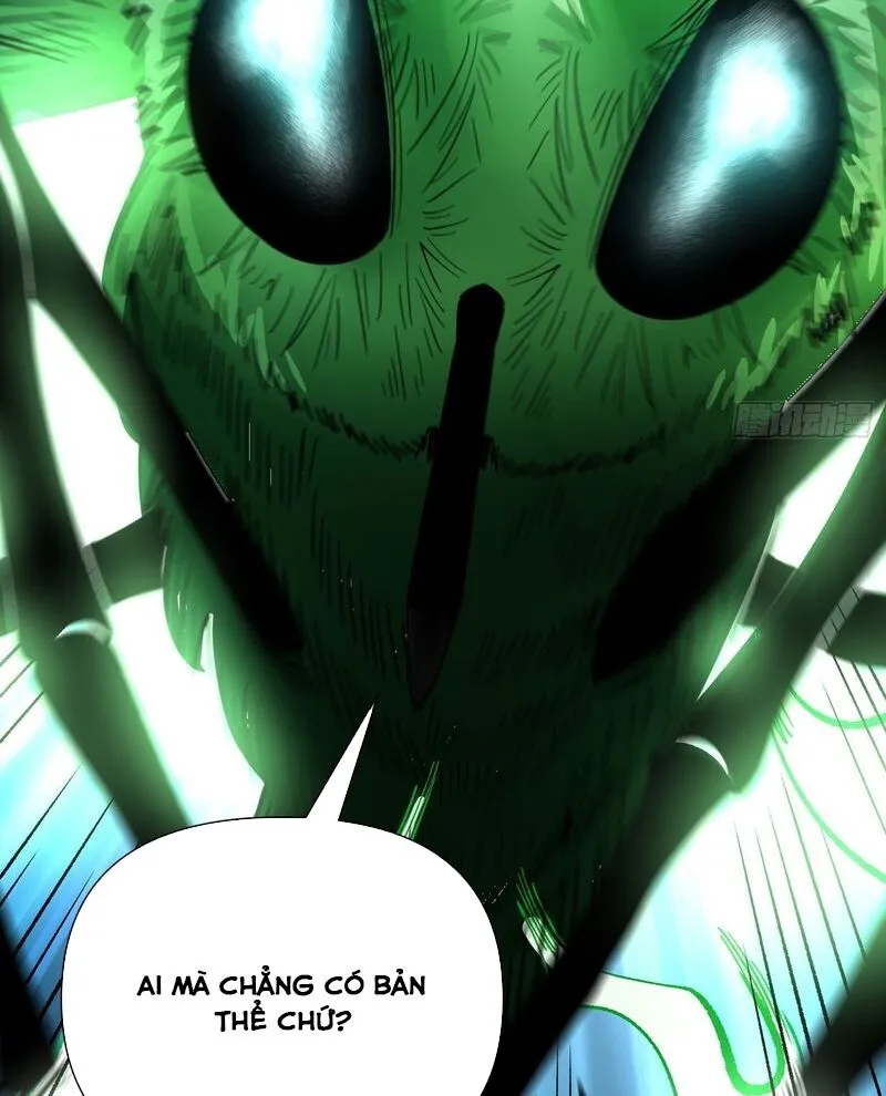 Chapter 493