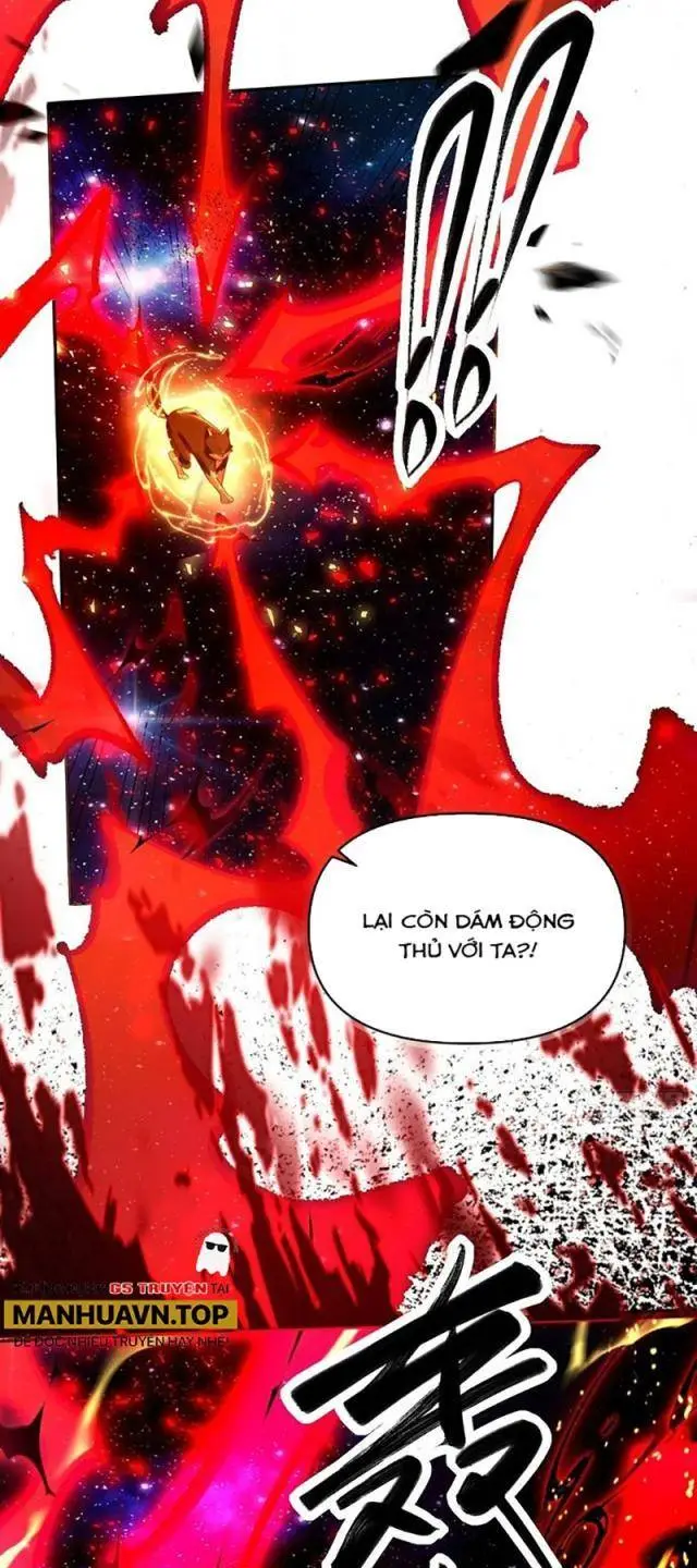 Chapter 430