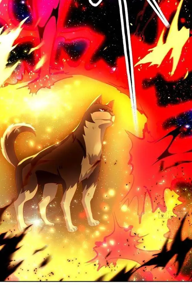 Chapter 430