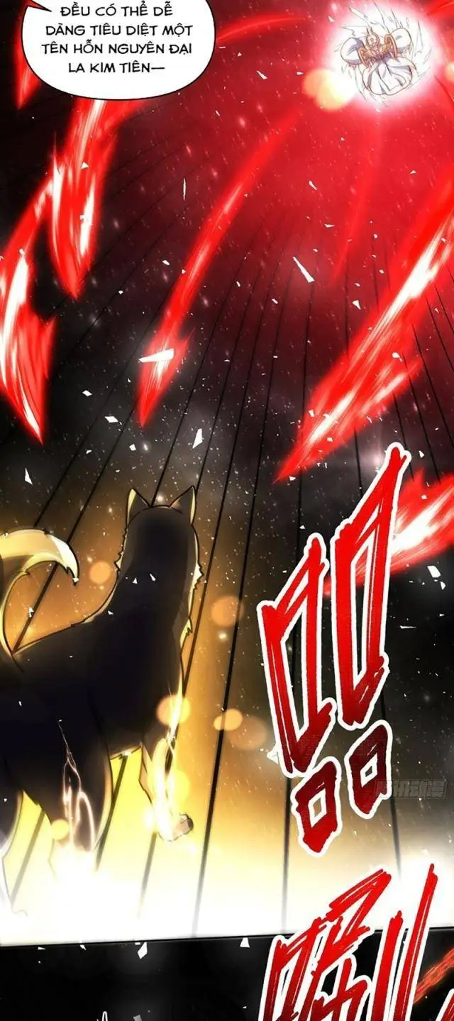 Chapter 430