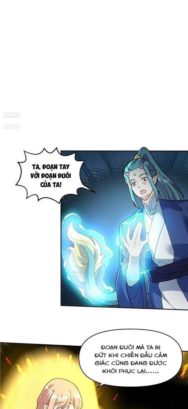 Chapter 376