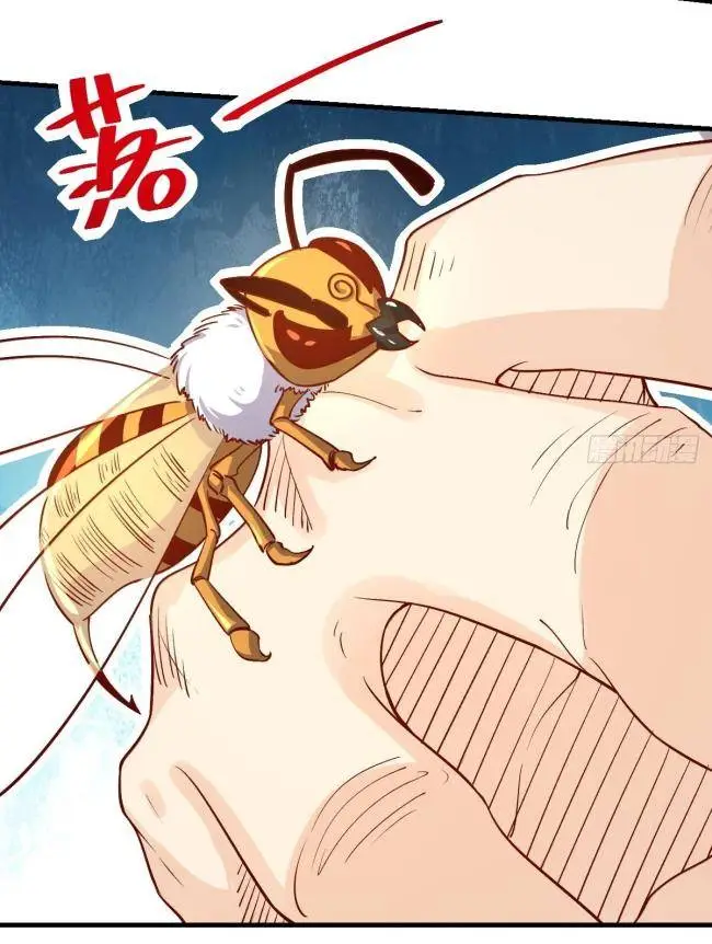 Chapter 123
