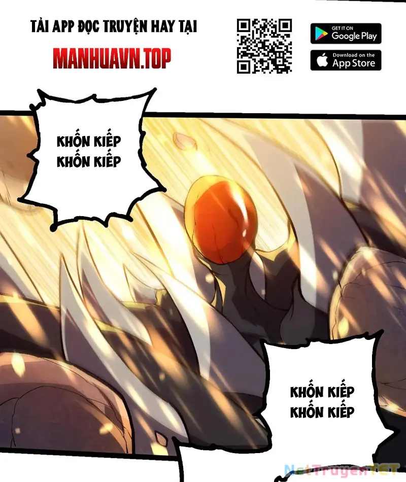 Chapter 325