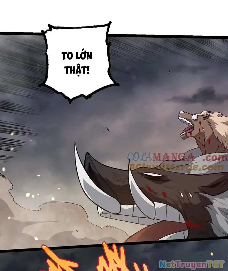 Chapter 325