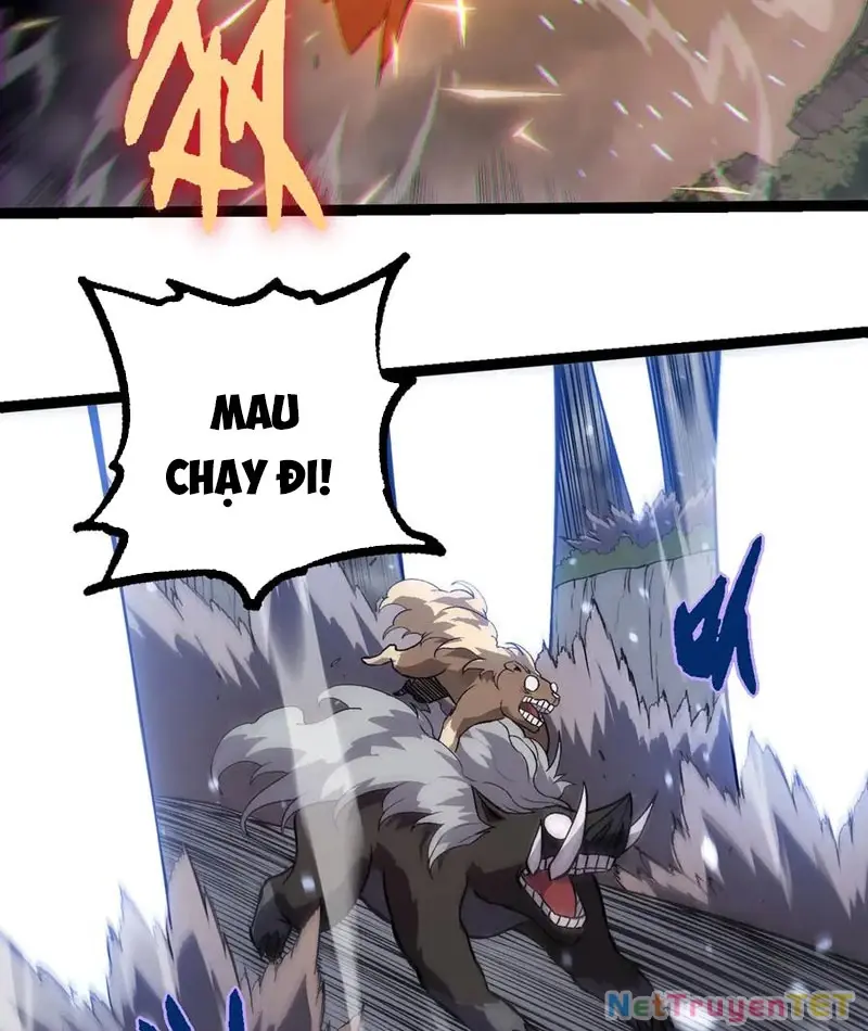 Chapter 325
