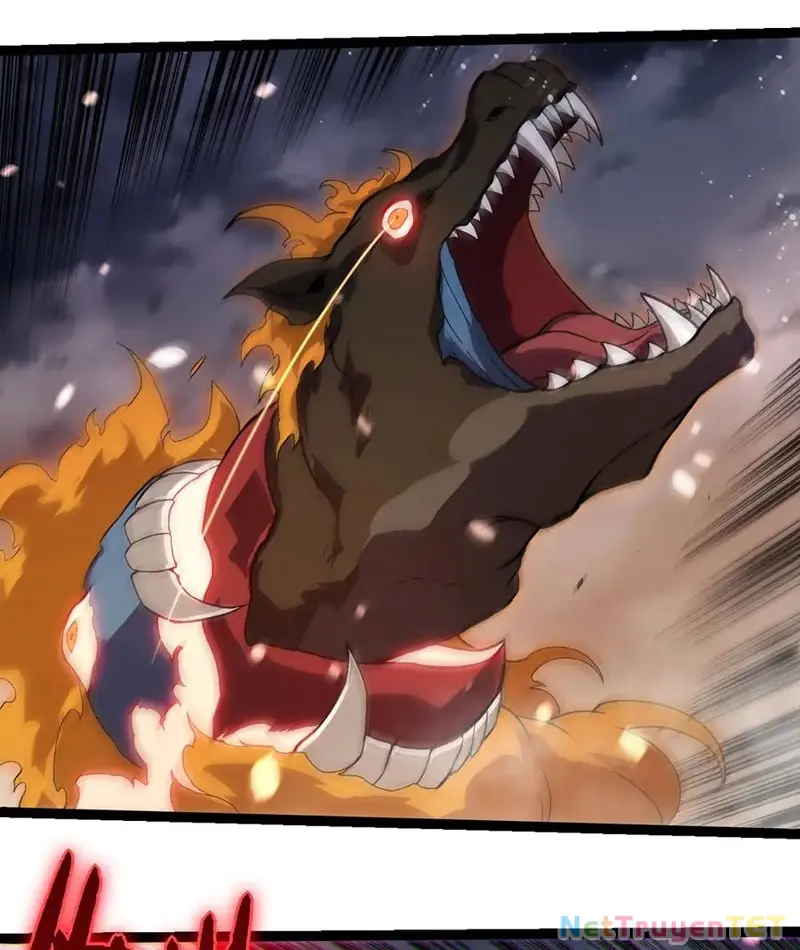 Chapter 325