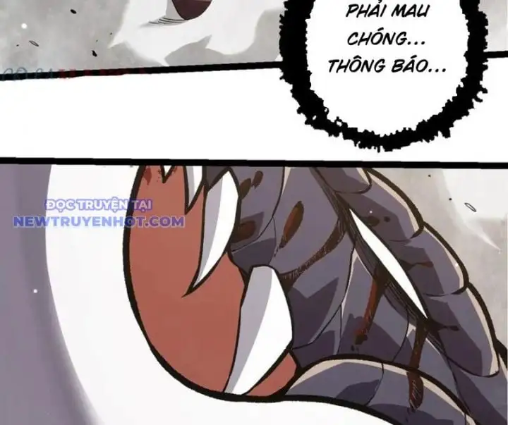 Chapter 320