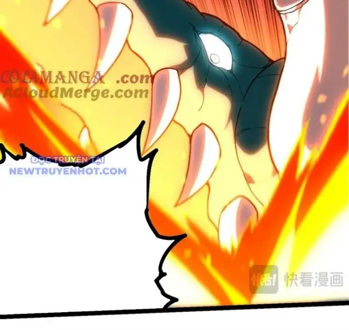 Chapter 320