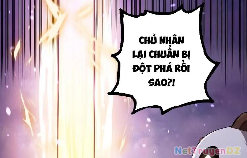 Chapter 312