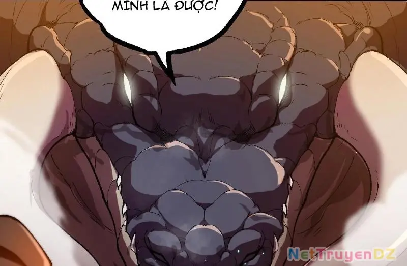 Chapter 312