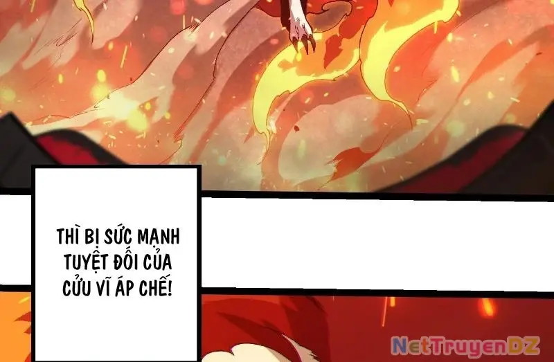 Chapter 312