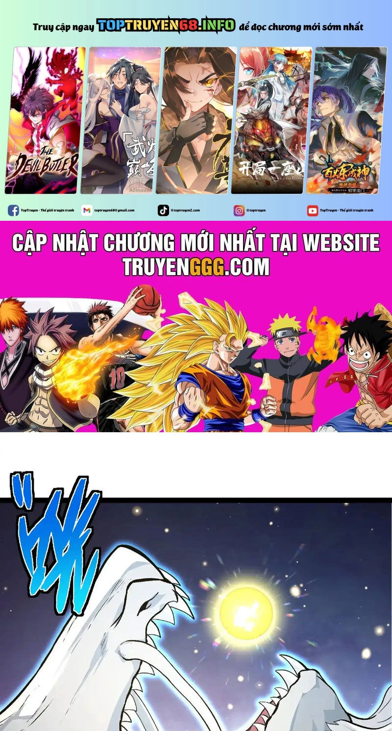 Chapter 294