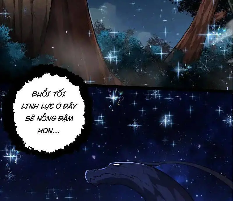 Chapter 285