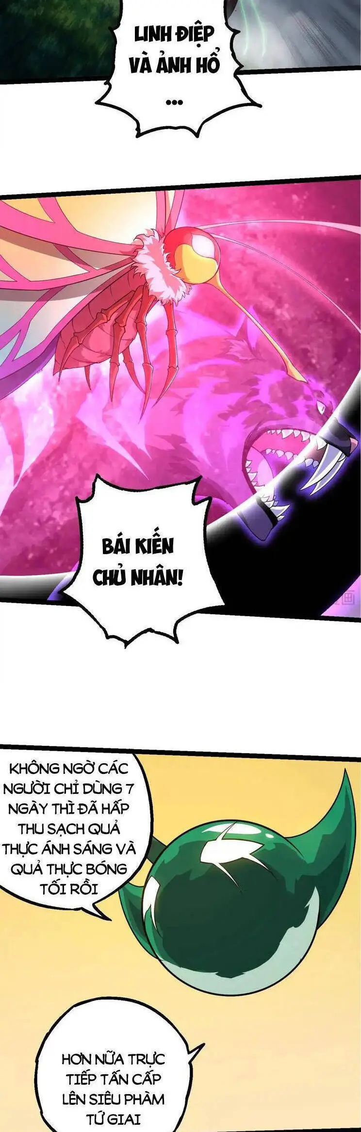 Chapter 282