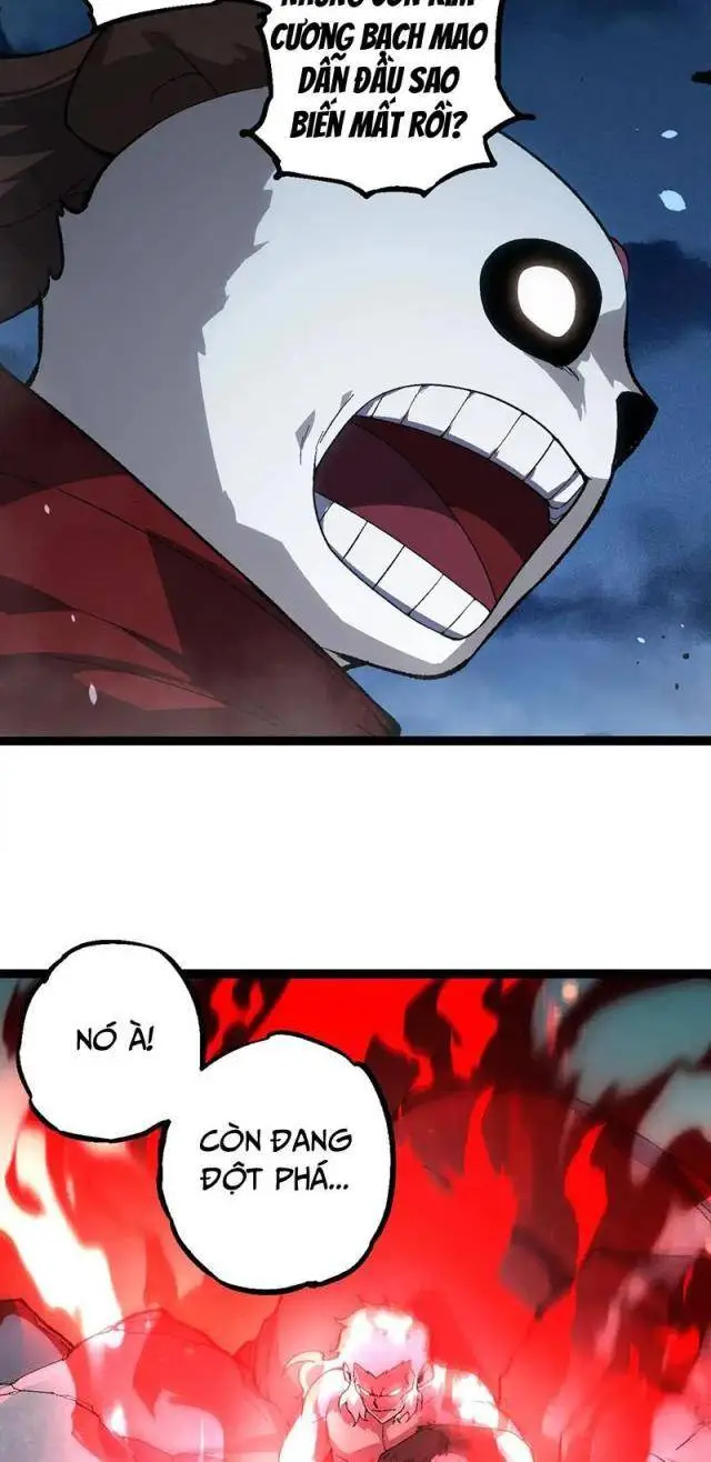 Chapter 247