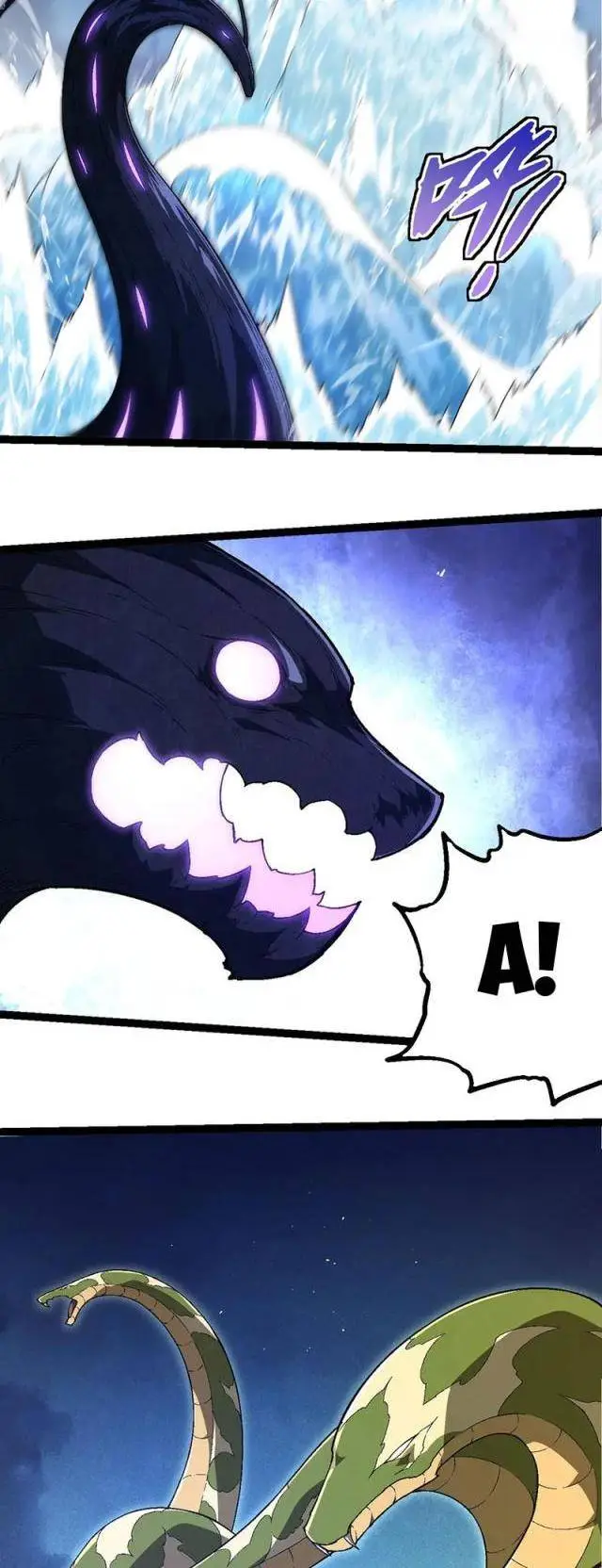 Chapter 244