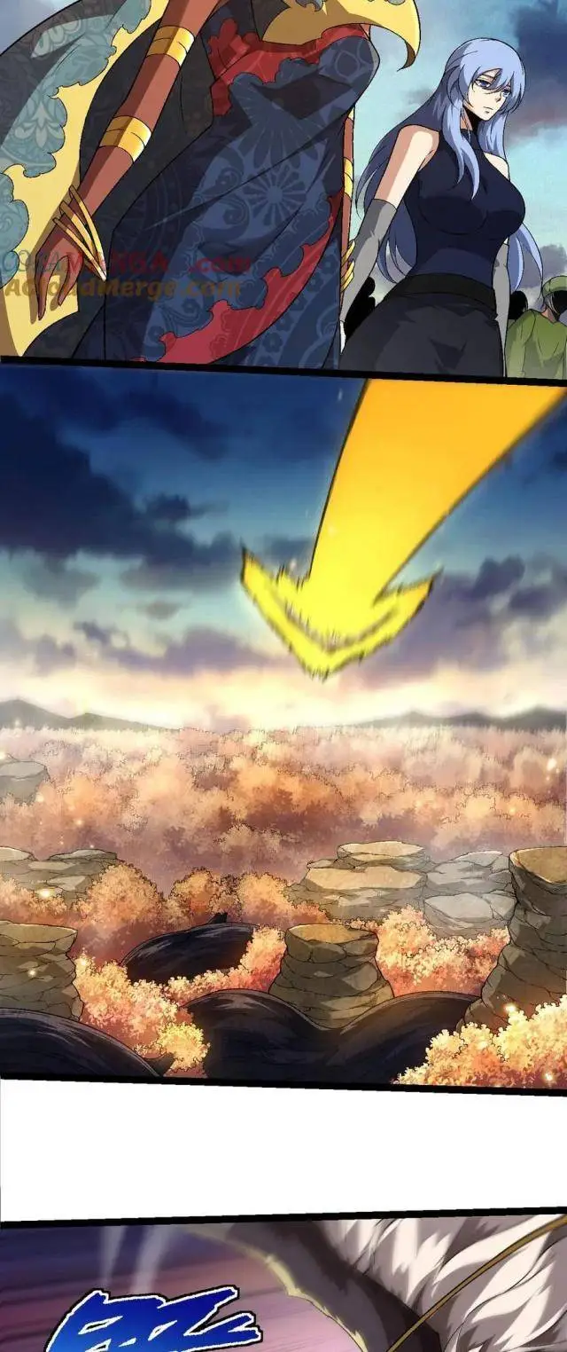 Chapter 244