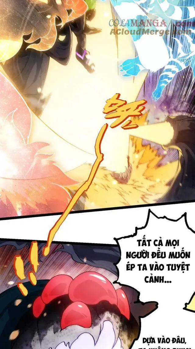 Chapter 240