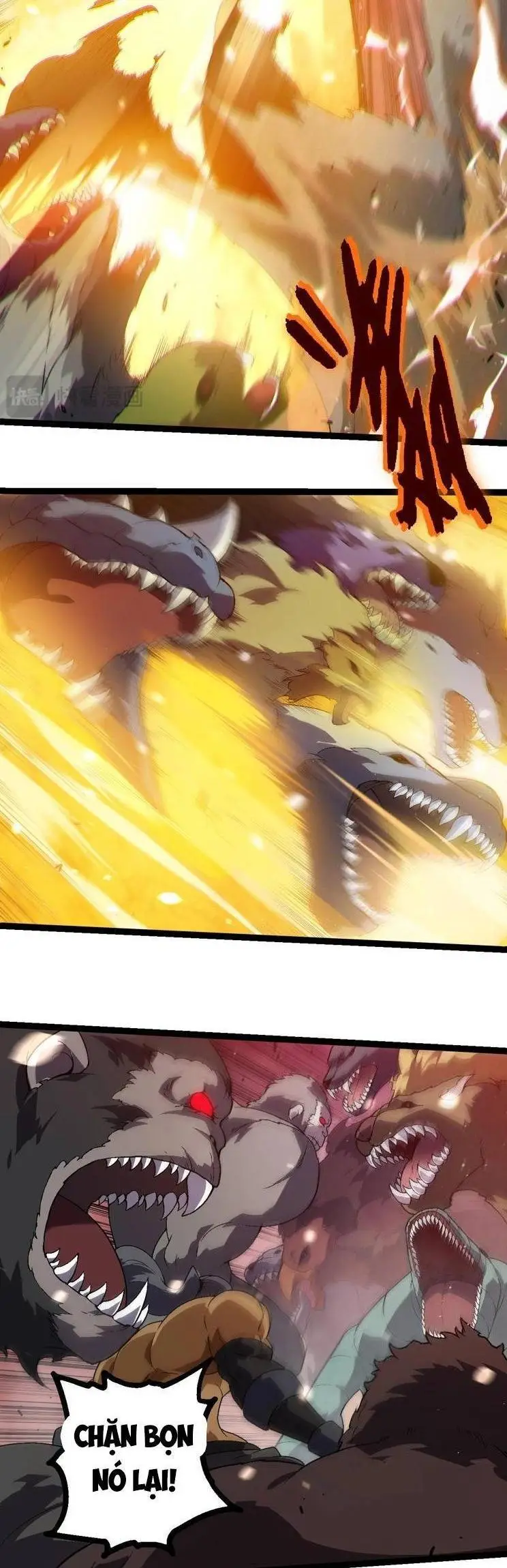 Chapter 223