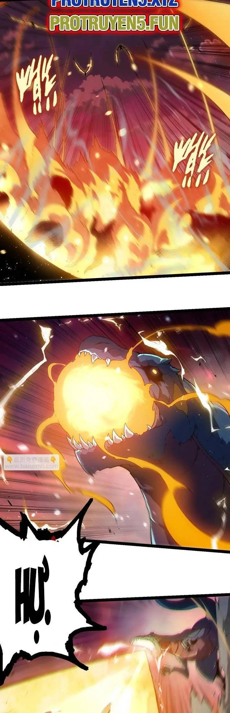 Chapter 223